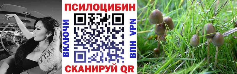 Галлюциногенные грибы Psilocybine cubensis даркнет сайт Туймазы