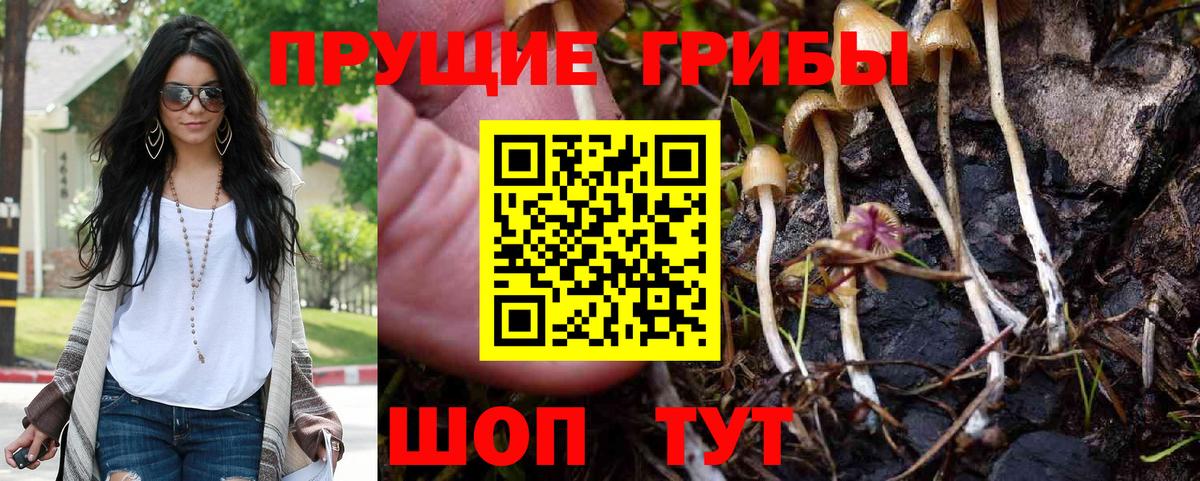 Псилоцибиновые грибы мухоморы Туймазы