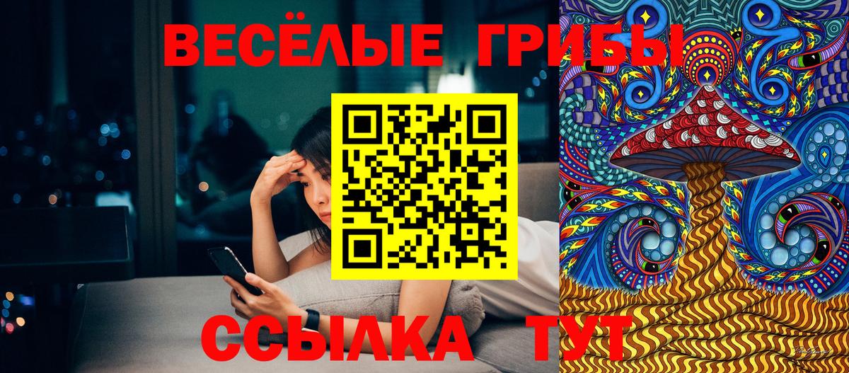 Туймазы  хочу   Псилоцибиновые грибы мухоморы  Вход с VPN  Псилоцибиновые грибы мухоморы 